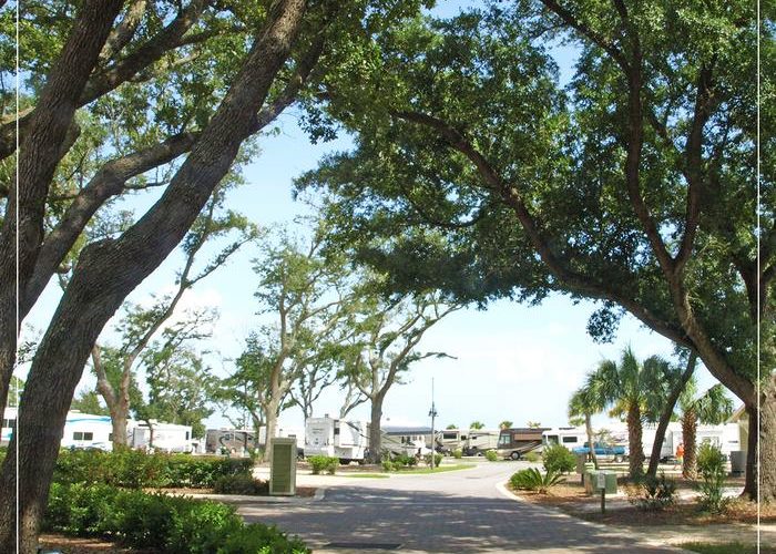 11716_802916123149540_2723607210072879930_n