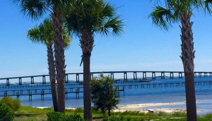 47378804_1996811353760005_7714783551731793920_n